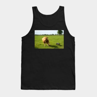 Dog herding cattle Tank Top